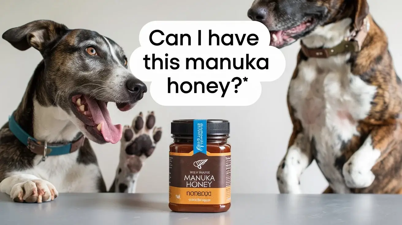 dog have manuka honey a photo of two dogs with their-mouths-open-looking