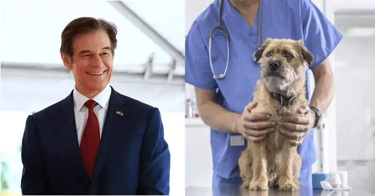 dr oz dogs