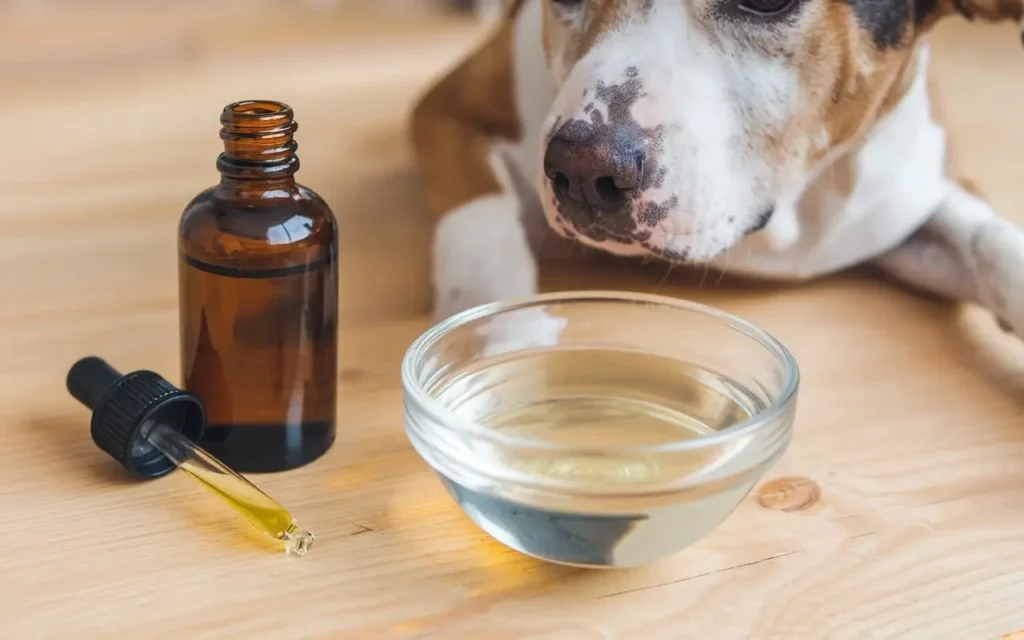 how to dilute tea tree oil for dogs