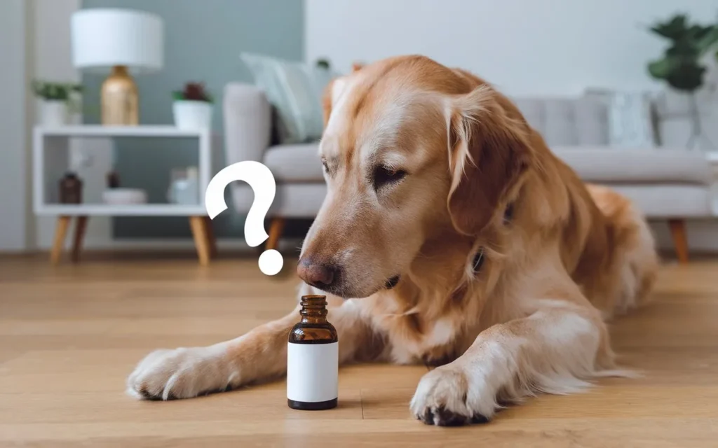 is diluted peppermint oil safe for dogs concerned-dog-sniffing