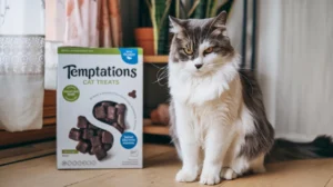 is temptations cat food good for cats a-photo-of-a-cat-sitting-near-a-box-of-temptations