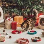 christmas gifts for cats